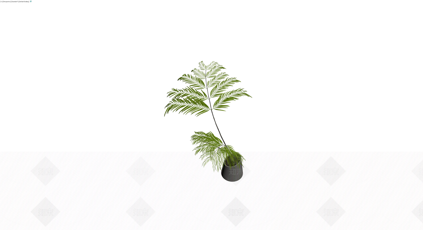 盆栽绿植组合模型3D模型下载【ID:1229917352】
