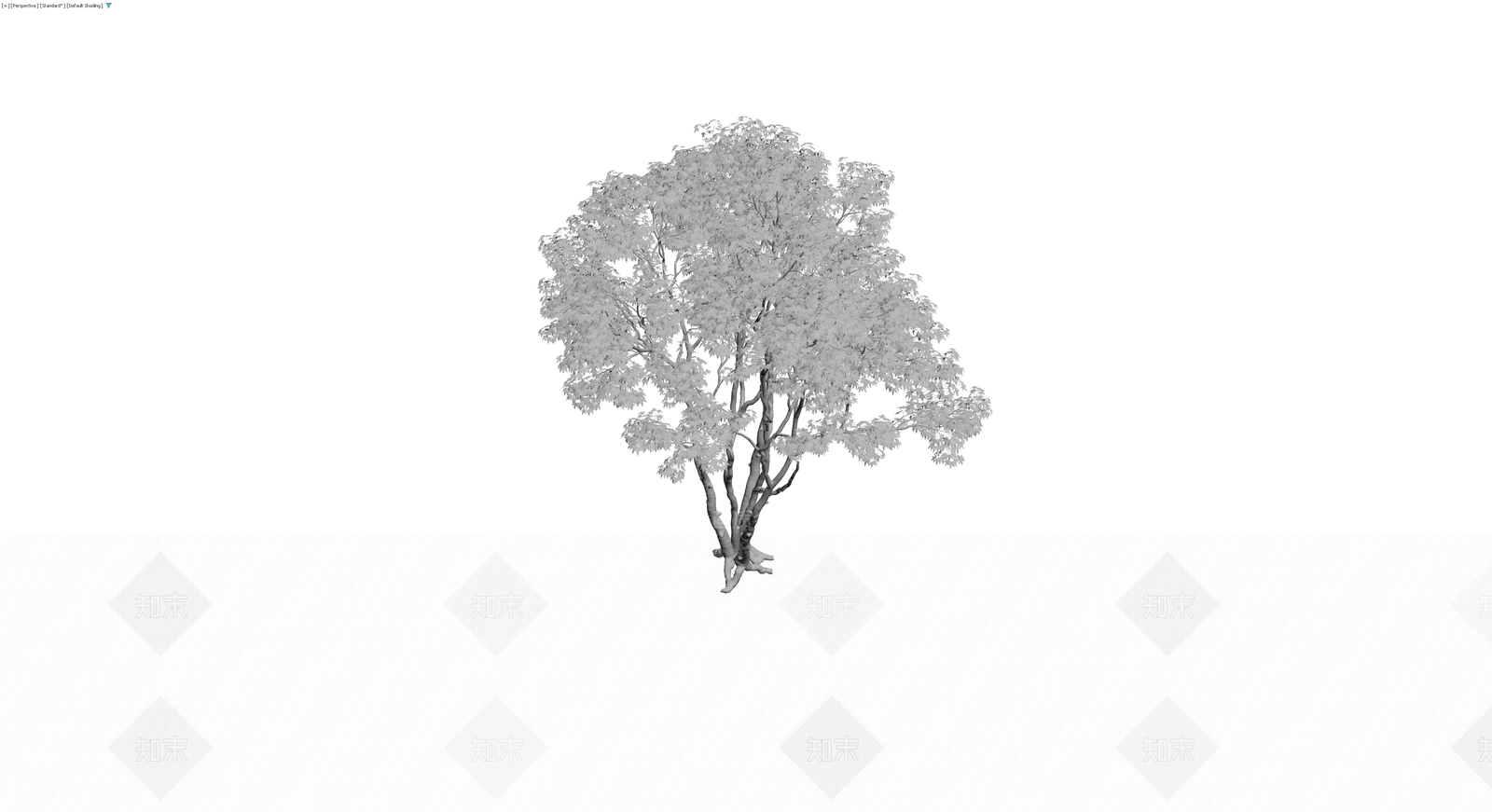 多杆景观乔木模型3D模型下载【ID:1230657920】