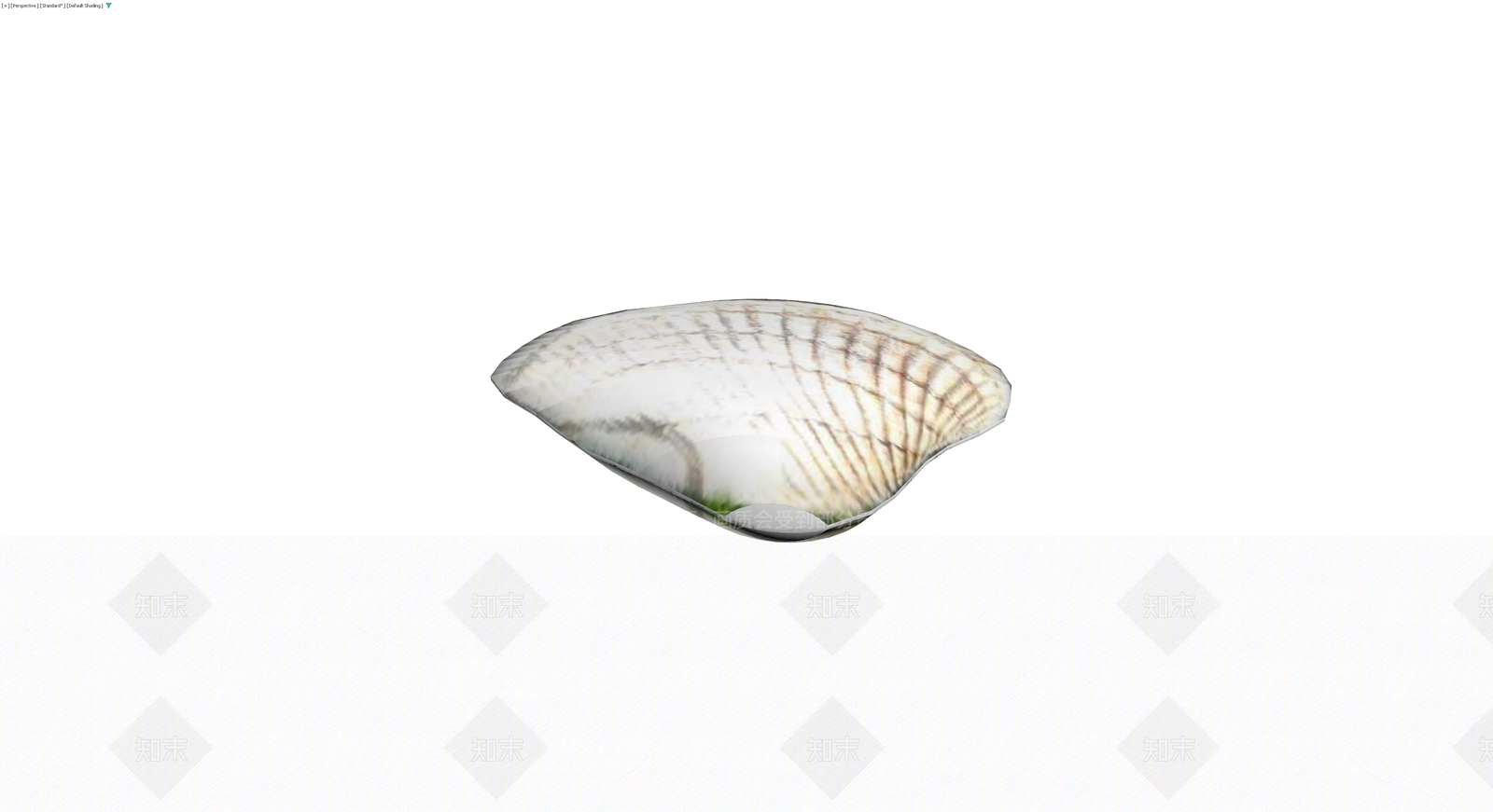 贝壳造型装饰摆件3D模型下载【ID:1230750405】