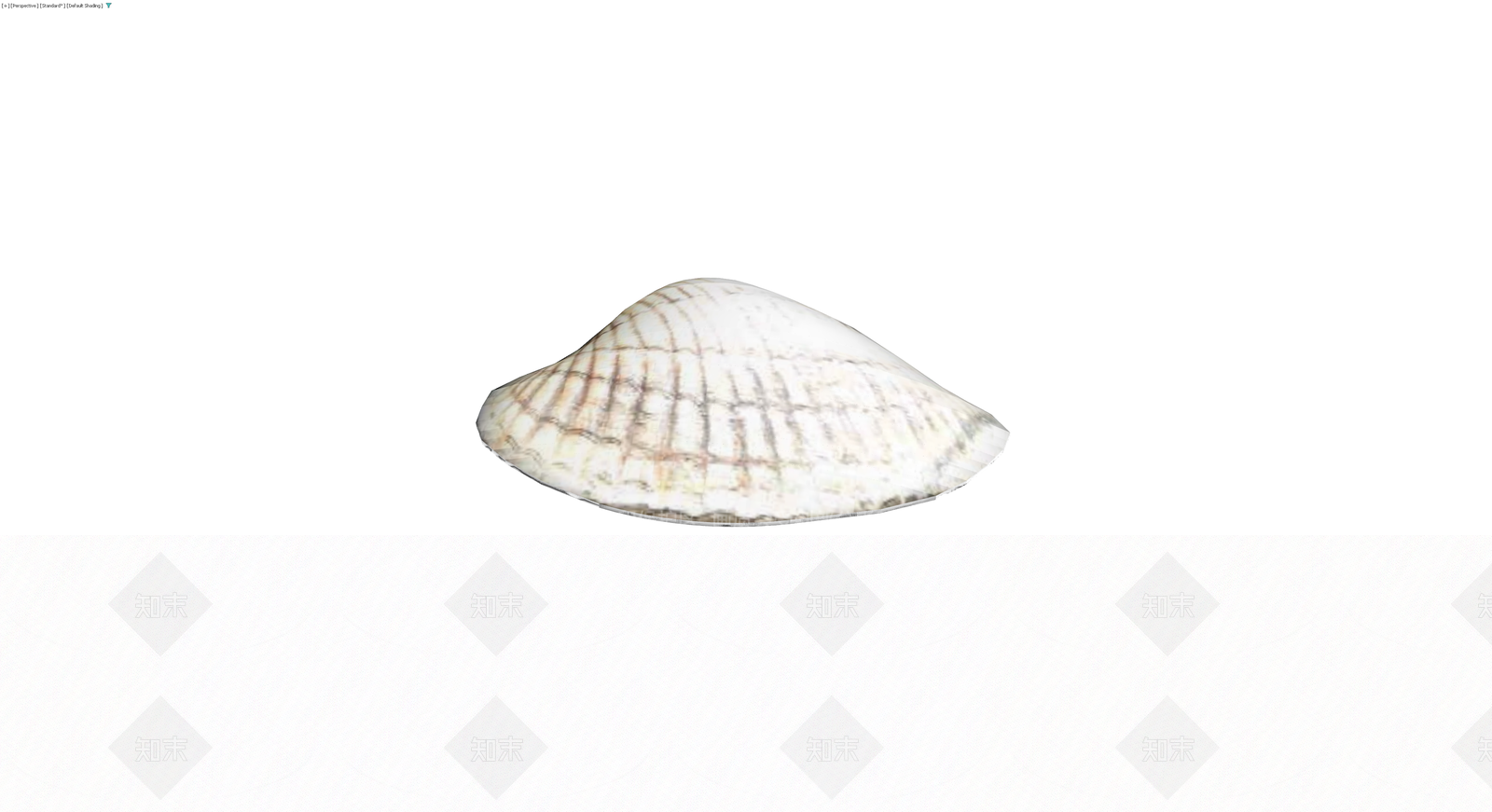 贝壳造型装饰摆件3D模型下载【ID:1230750405】