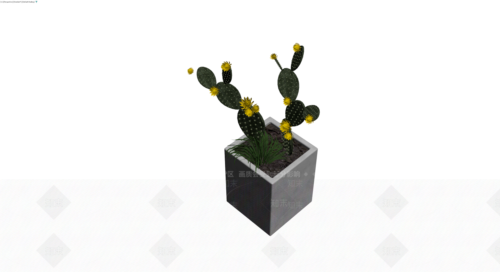 方形花盆仙人掌盆栽3D模型下载【ID:1229943495】