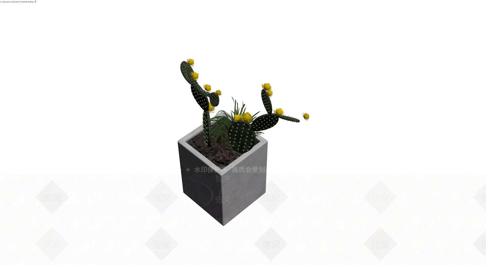 方形花盆仙人掌盆栽3D模型下载【ID:1229943495】