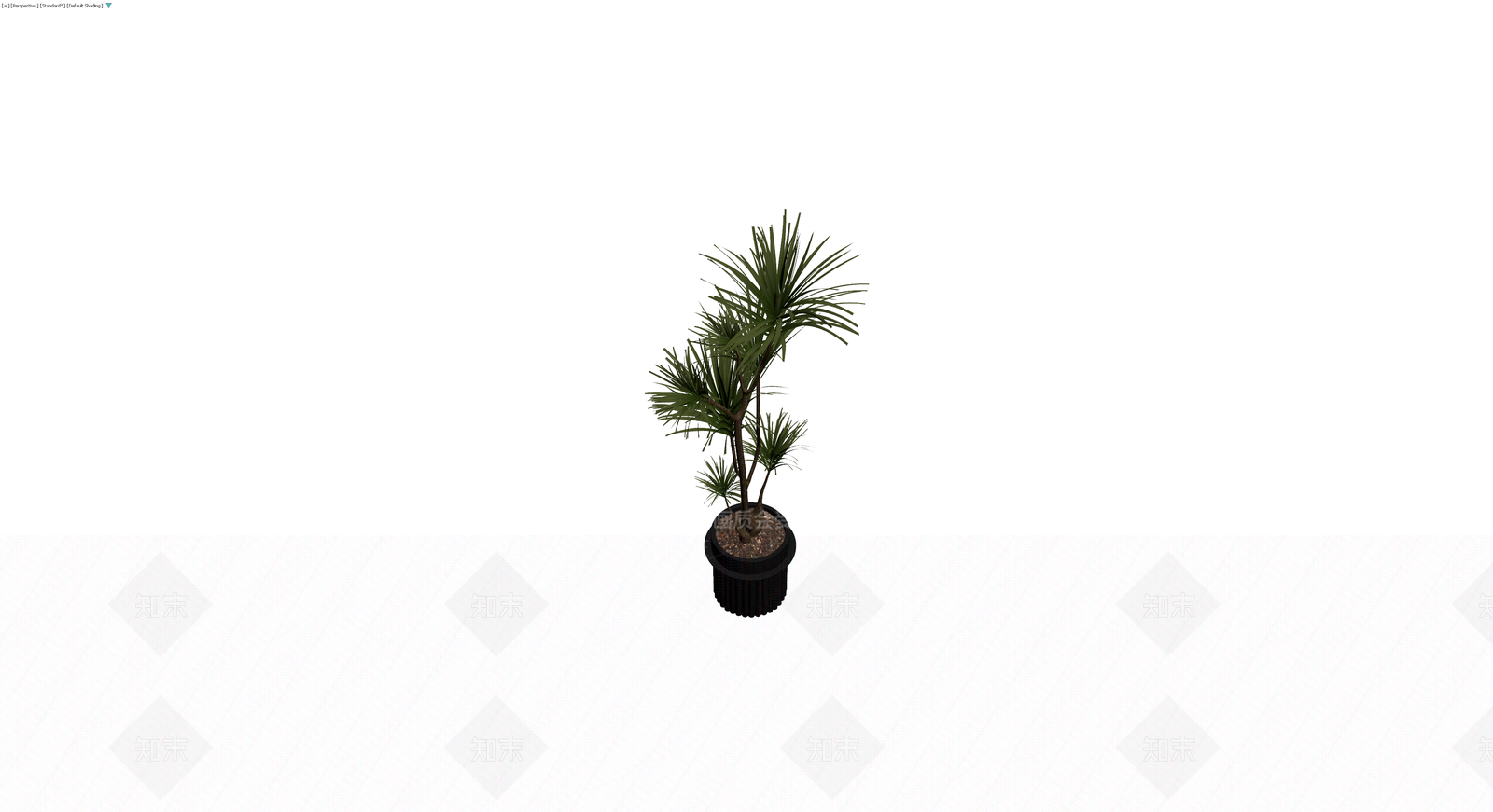 盆栽棕榈植物模型3D模型下载【ID:1230087909】