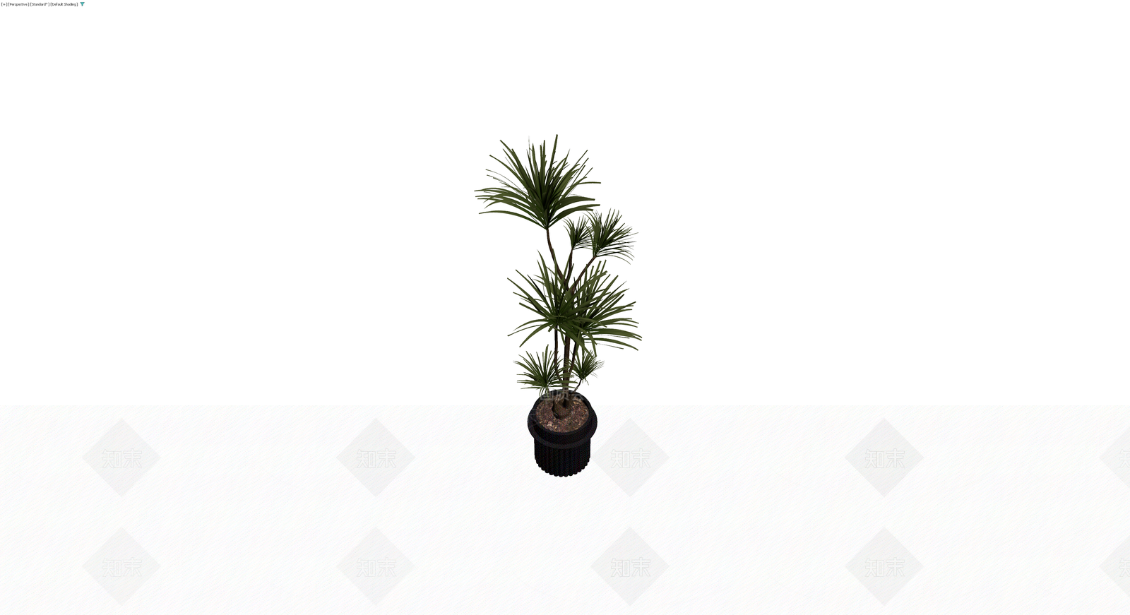 盆栽棕榈植物模型3D模型下载【ID:1230087909】