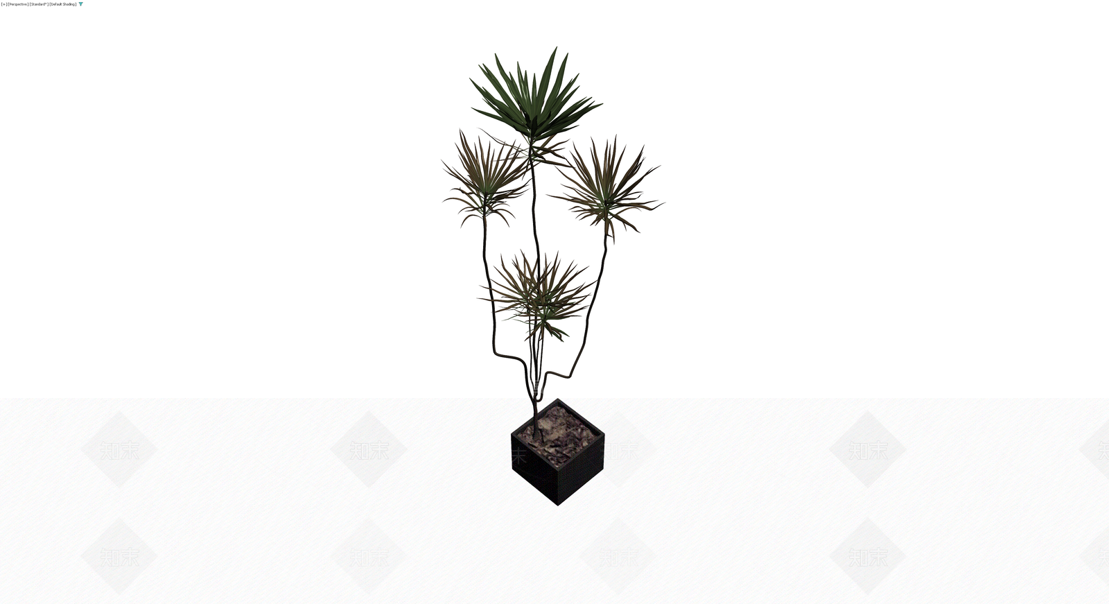 黑色方盆多杆盆栽植物3D模型下载【ID:1230617301】