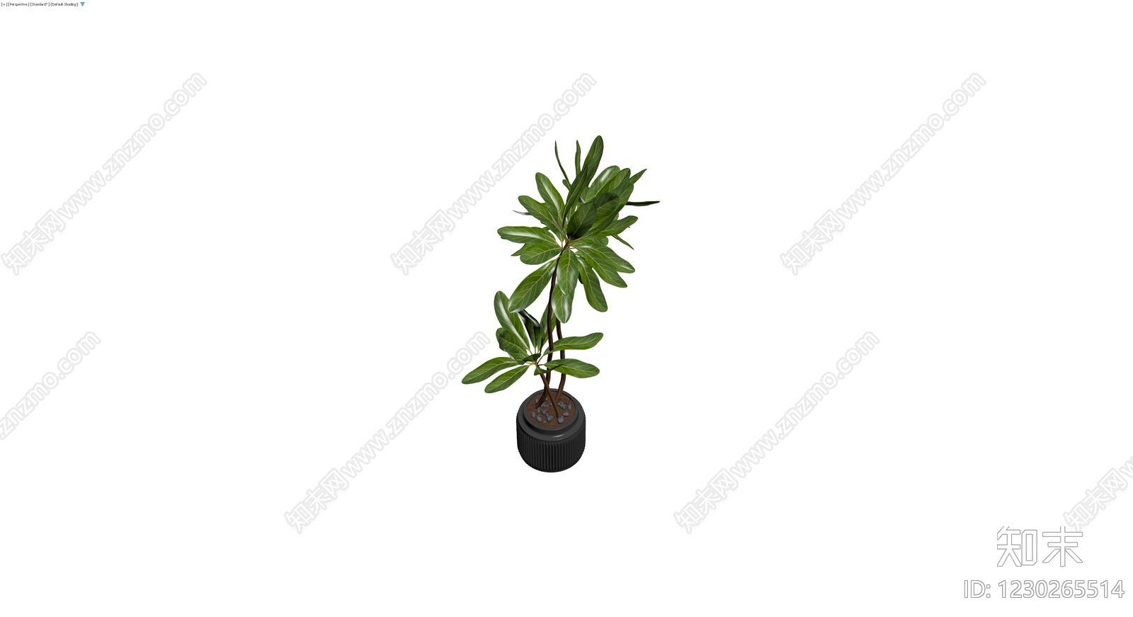 带盆绿植盆栽3D模型下载【ID:1230265514】