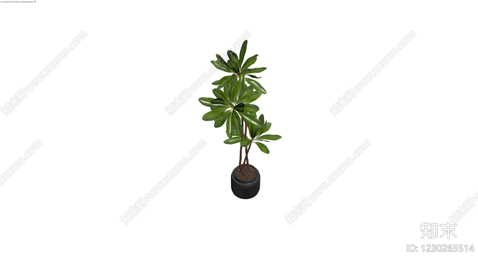 带盆绿植盆栽3D模型下载【ID:1230265514】