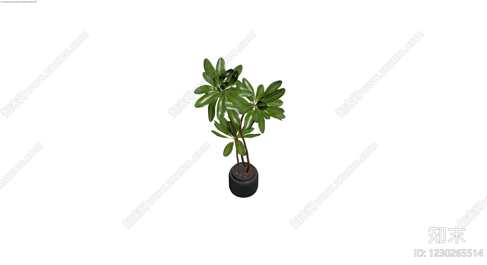 带盆绿植盆栽3D模型下载【ID:1230265514】