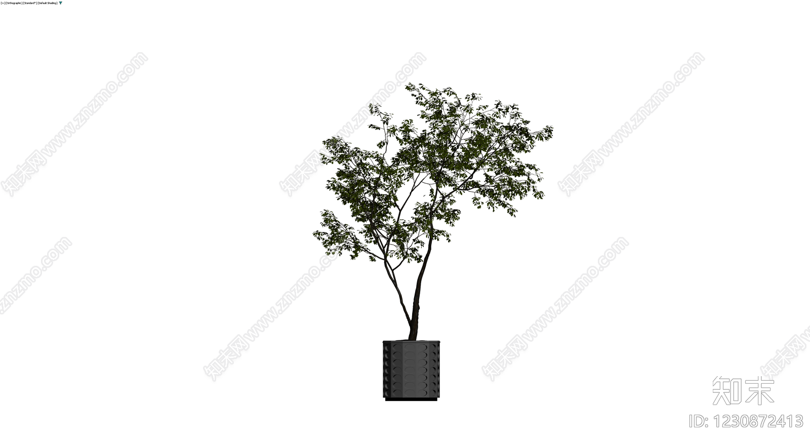 盆栽绿植带花盆3D模型下载【ID:1230872413】