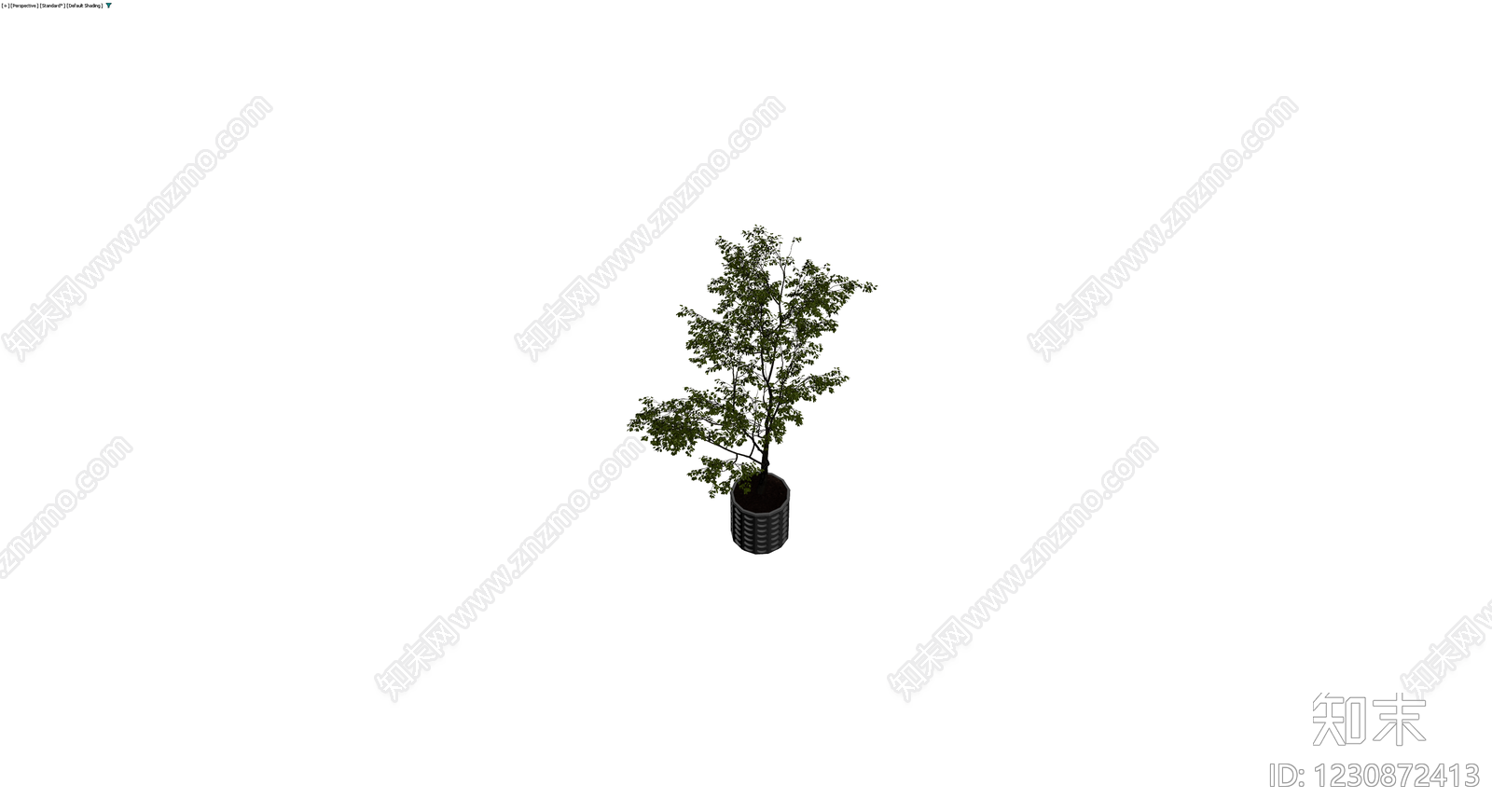 盆栽绿植带花盆3D模型下载【ID:1230872413】