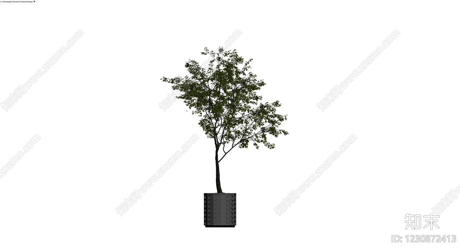 盆栽绿植带花盆3D模型下载【ID:1230872413】