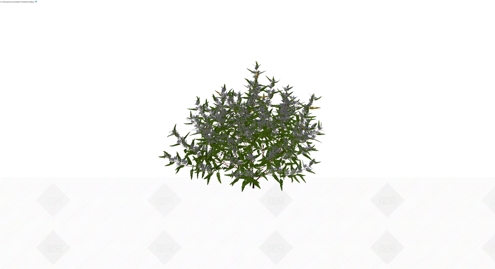 蓝花灌木乔木模型3D模型下载【ID:1230147141】