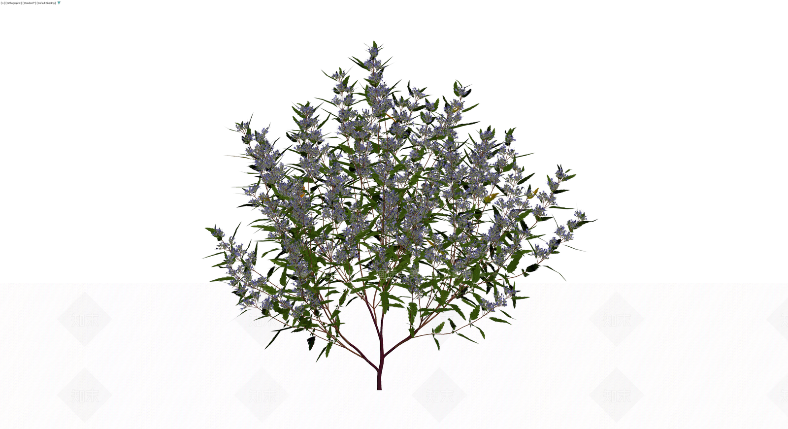 蓝花灌木乔木模型3D模型下载【ID:1230147141】