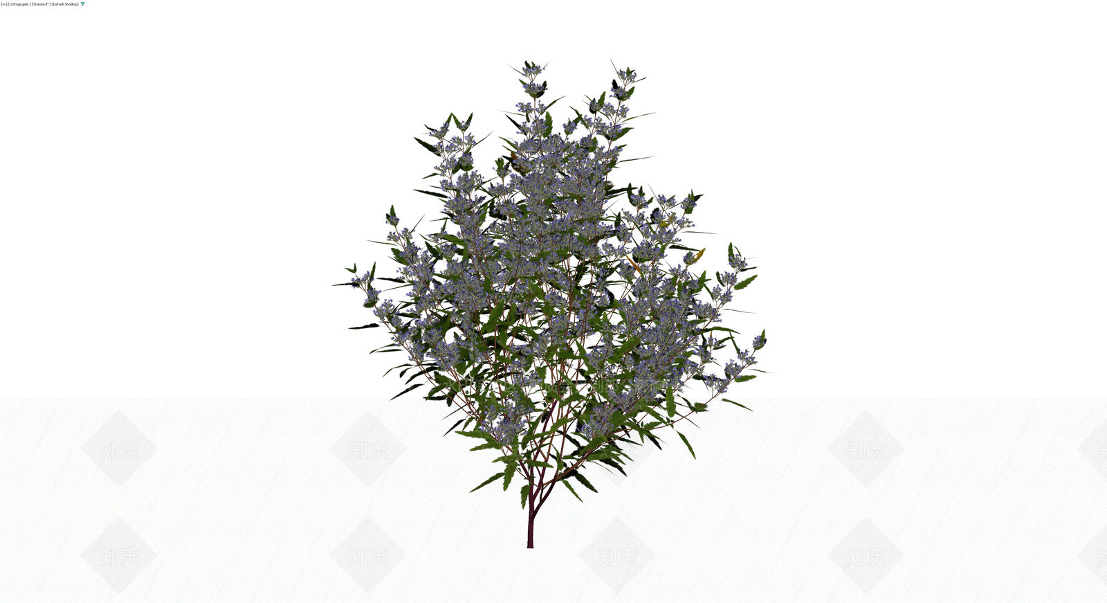 蓝花灌木乔木模型3D模型下载【ID:1230147141】