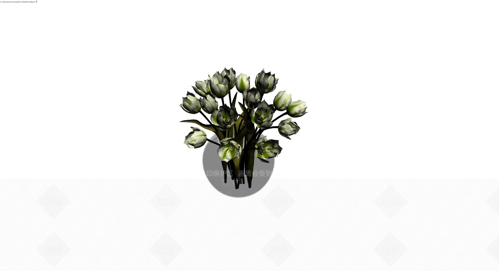 黑白条纹郁金香盆栽3D模型下载【ID:1230566002】