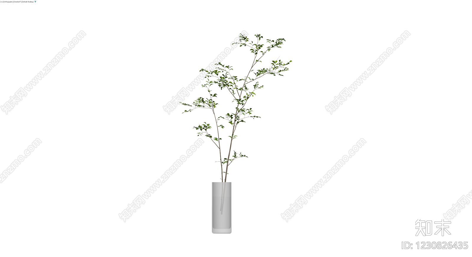 透明玻璃花瓶绿植组合3D模型下载【ID:1230826435】