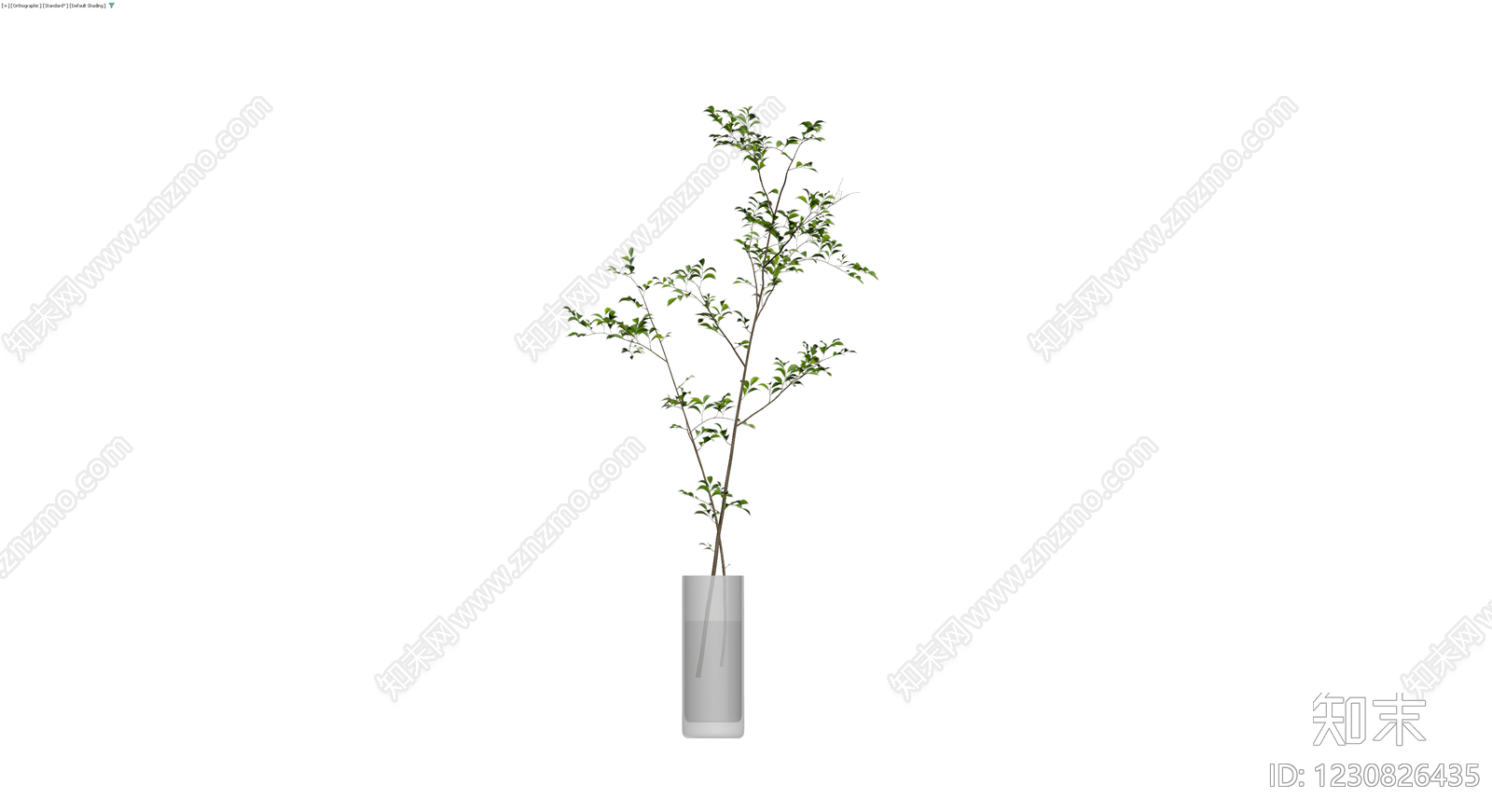透明玻璃花瓶绿植组合3D模型下载【ID:1230826435】