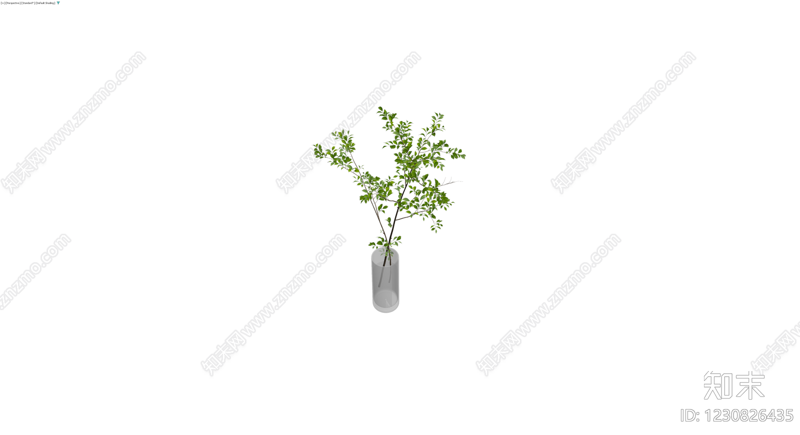 透明玻璃花瓶绿植组合3D模型下载【ID:1230826435】