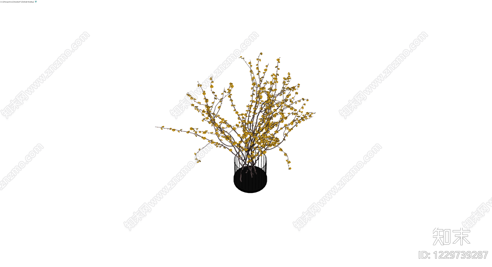 黄色开花盆栽植物3D模型下载【ID:1229739287】