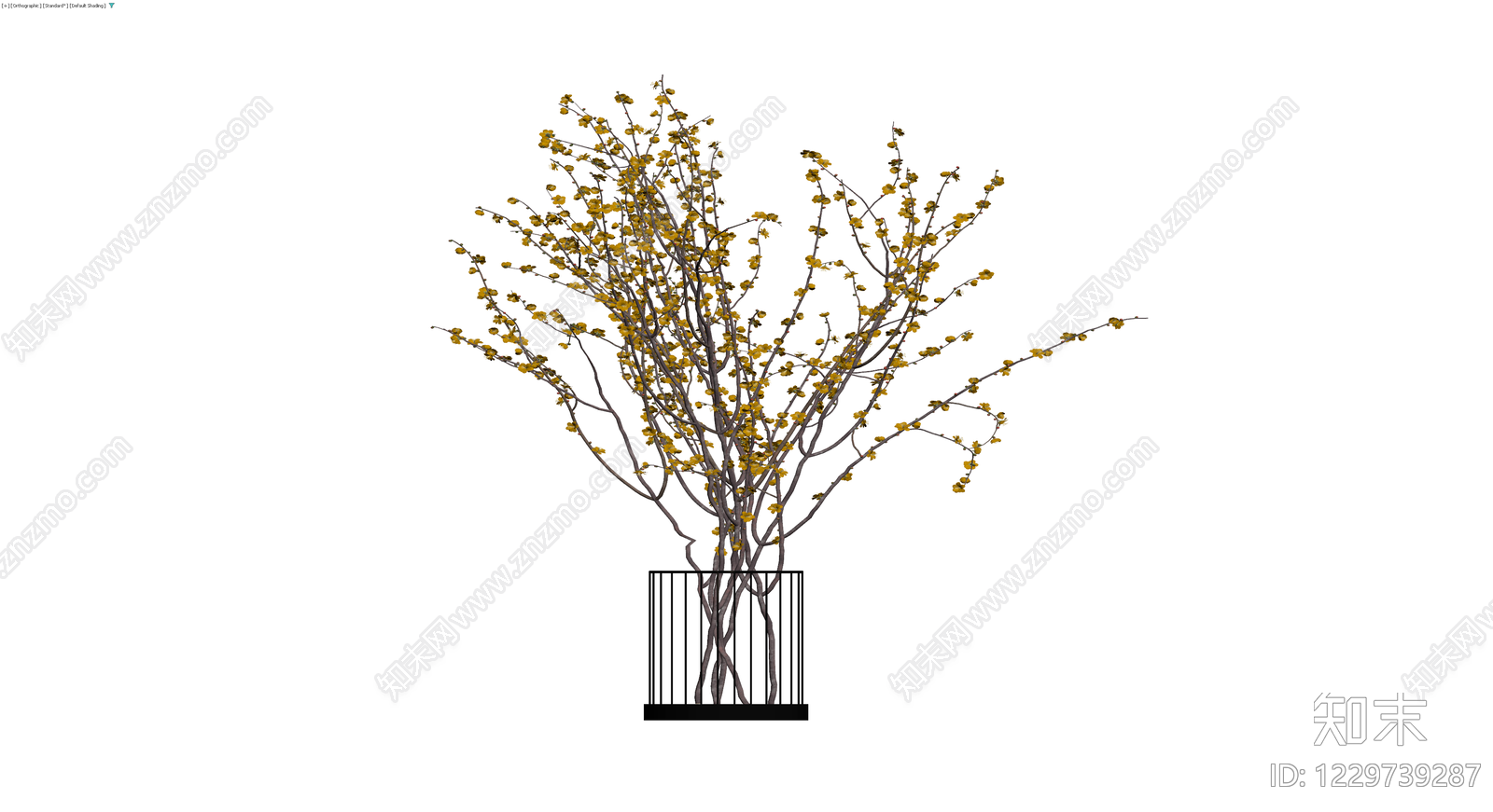 黄色开花盆栽植物3D模型下载【ID:1229739287】