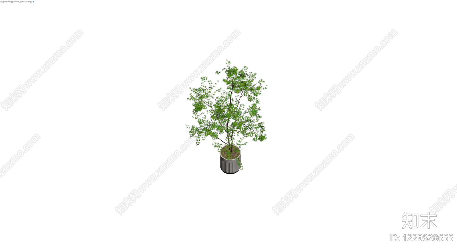 盆栽绿植模型3D模型下载【ID:1229828655】