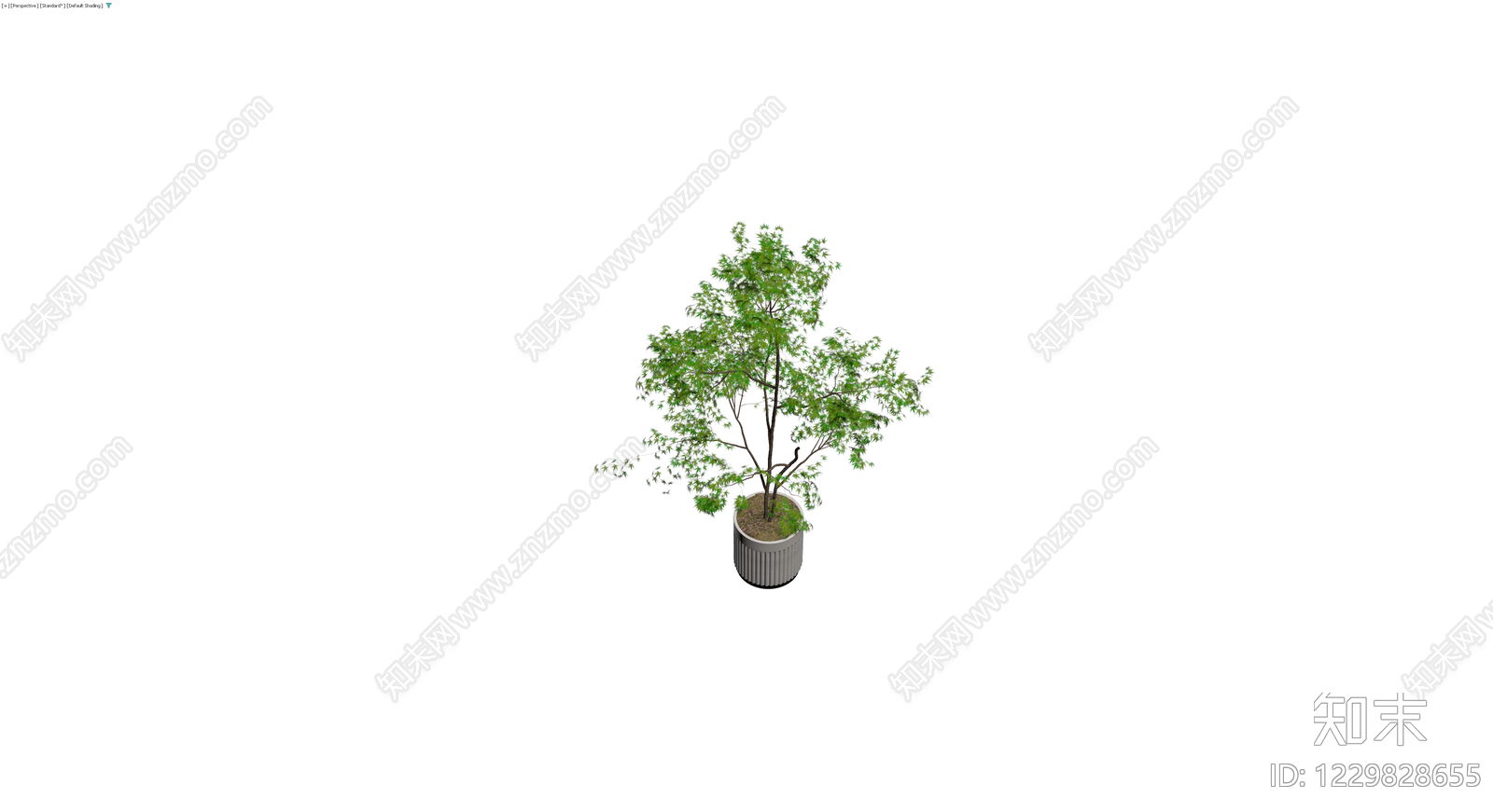 盆栽绿植模型3D模型下载【ID:1229828655】