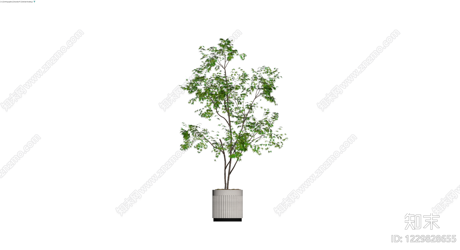 盆栽绿植模型3D模型下载【ID:1229828655】