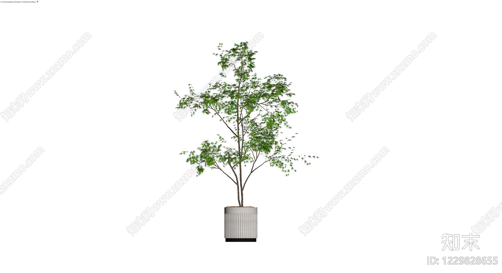 盆栽绿植模型3D模型下载【ID:1229828655】