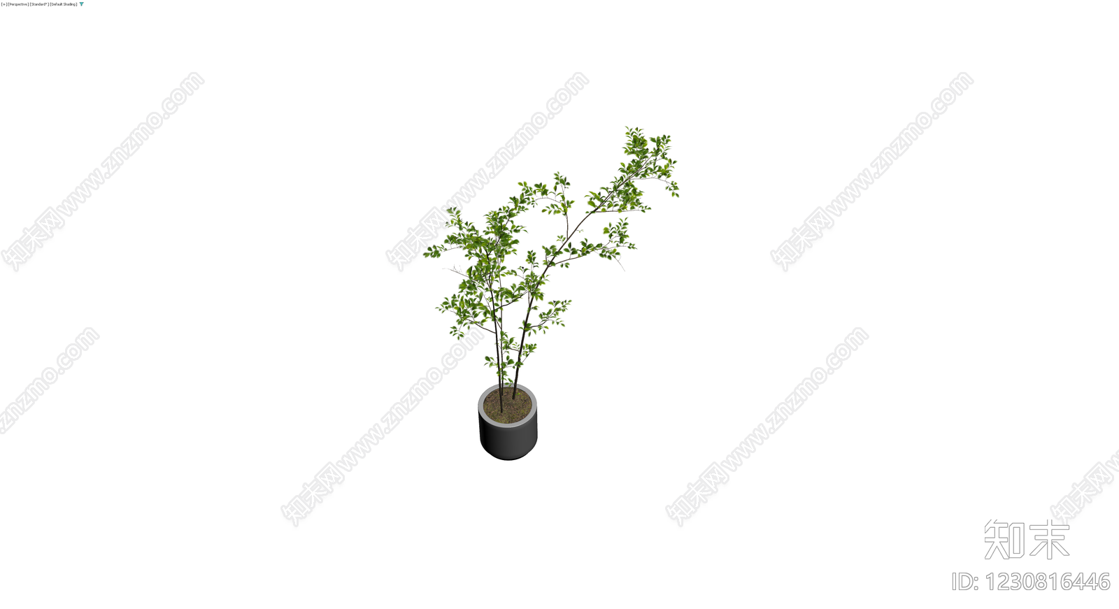 盆栽绿植组合3D模型下载【ID:1230816446】