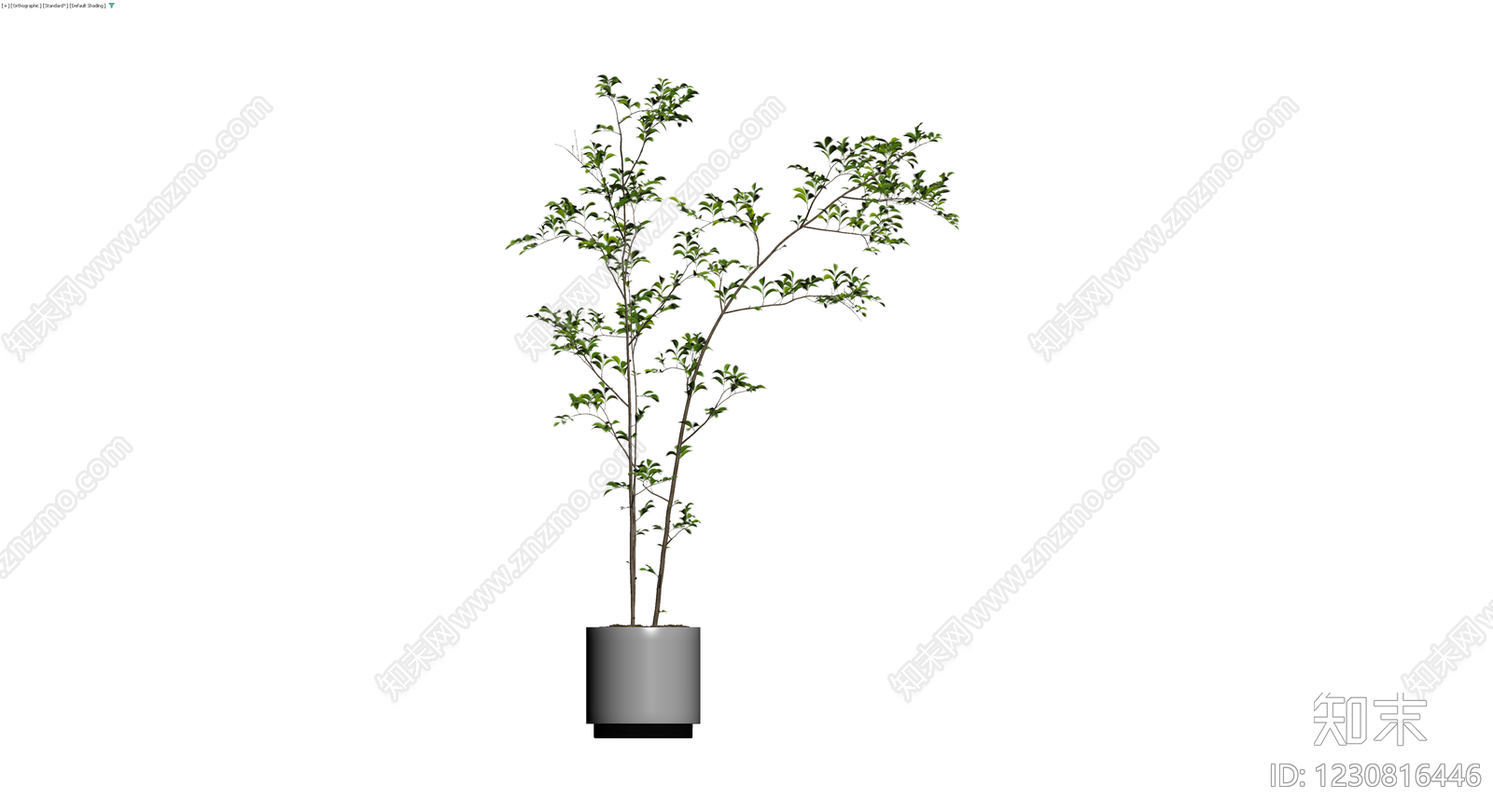 盆栽绿植组合3D模型下载【ID:1230816446】