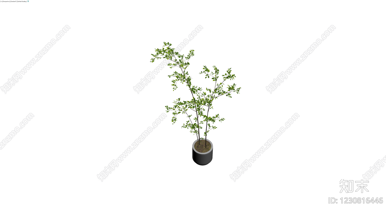 盆栽绿植组合3D模型下载【ID:1230816446】