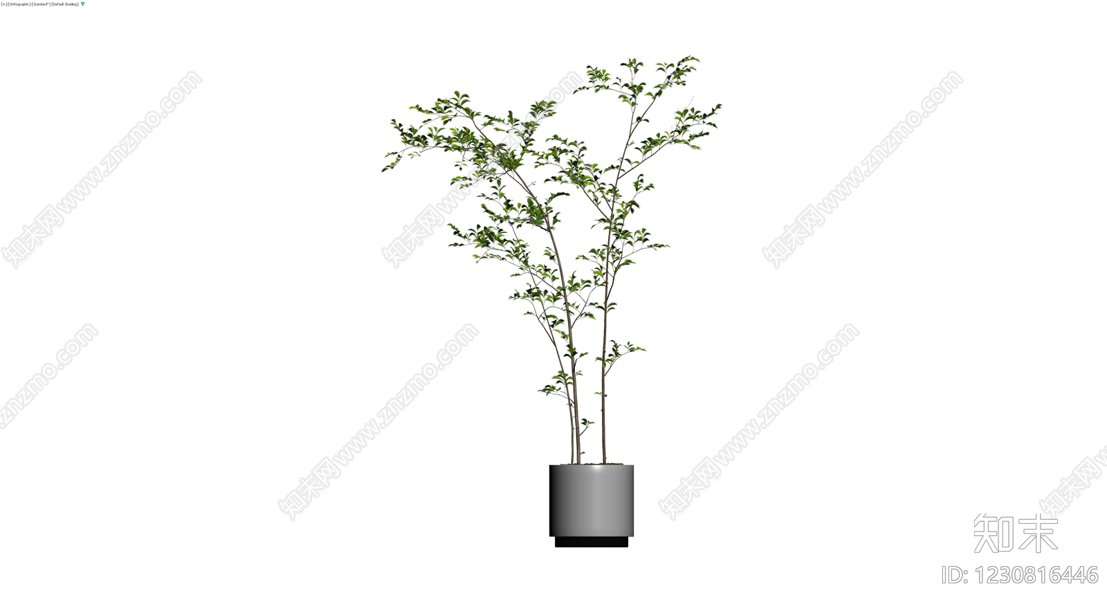 盆栽绿植组合3D模型下载【ID:1230816446】
