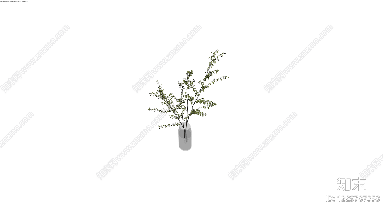 盆栽植物带花瓶3D模型下载【ID:1229787353】