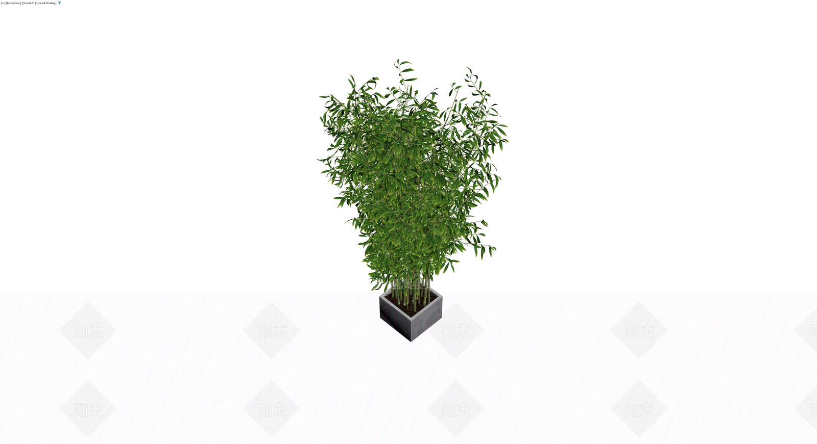盆栽竹植物模型3D模型下载【ID:1230717565】