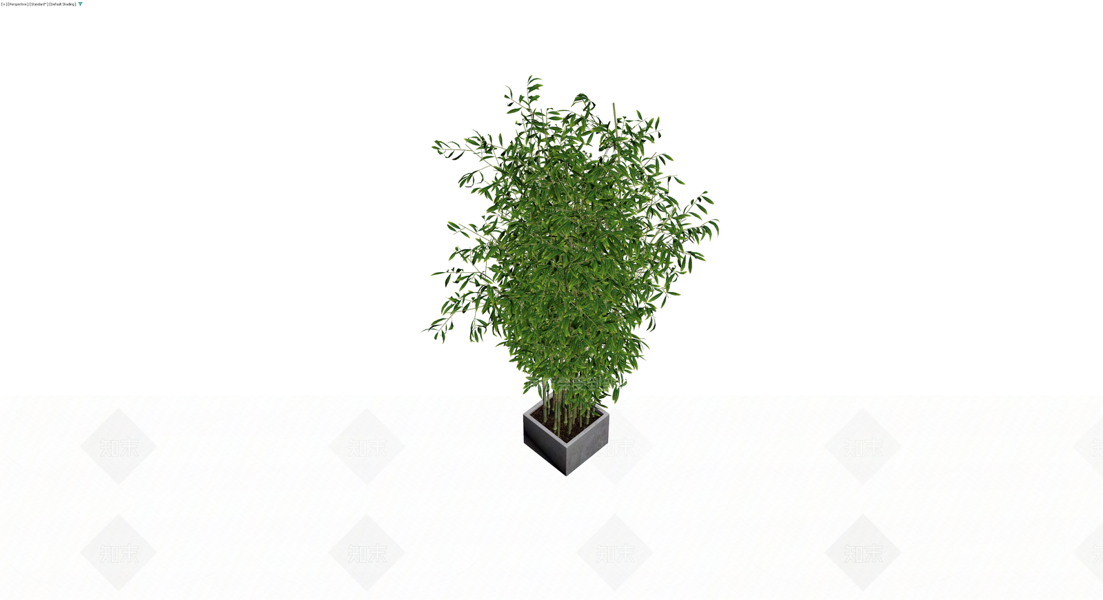 盆栽竹植物模型3D模型下载【ID:1230717565】
