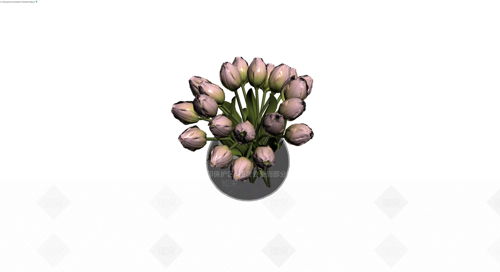 盆栽郁金香组合3D模型下载【ID:1230566129】