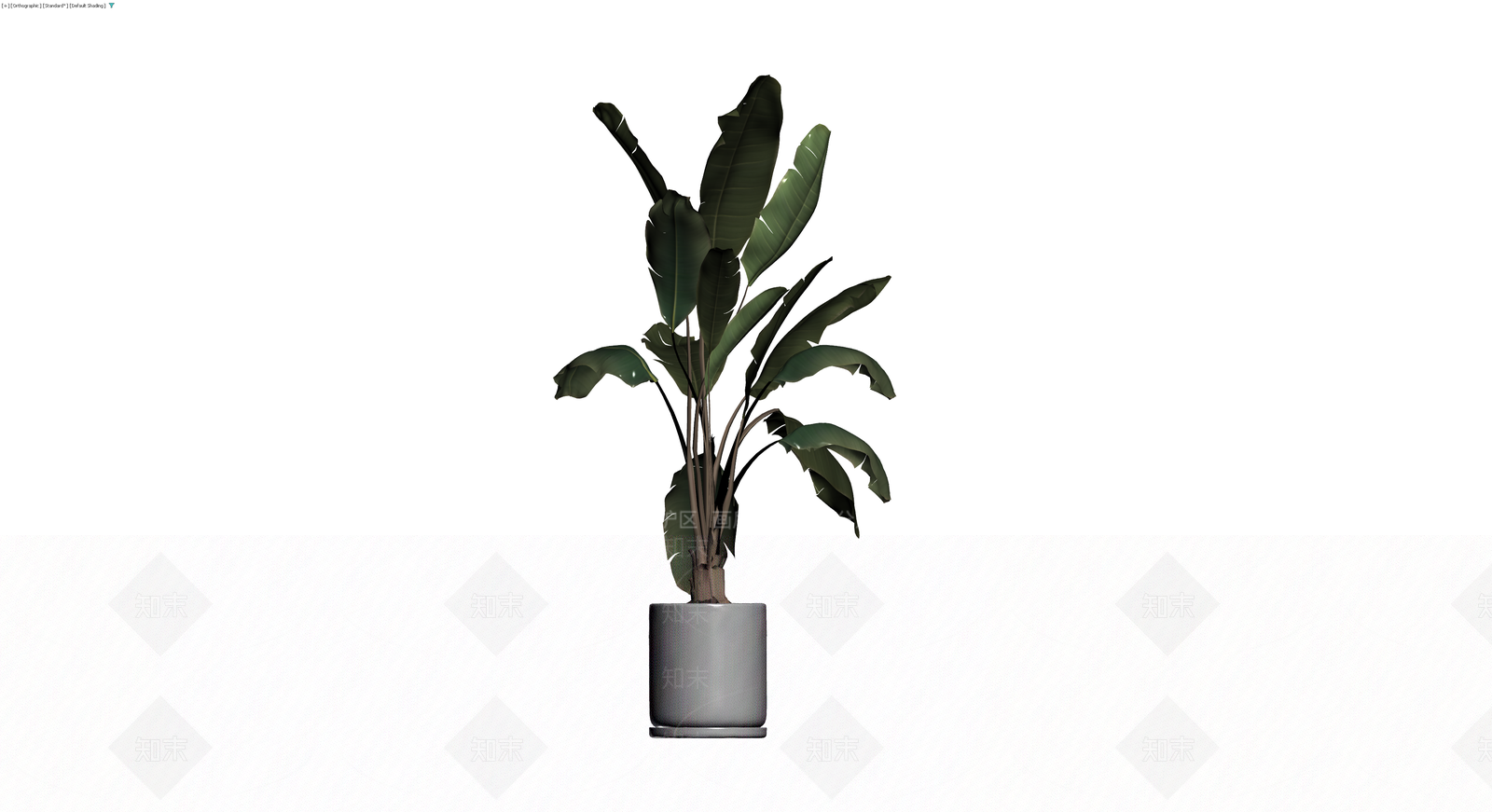 盆栽天堂鸟植物3D模型下载【ID:1229675860】