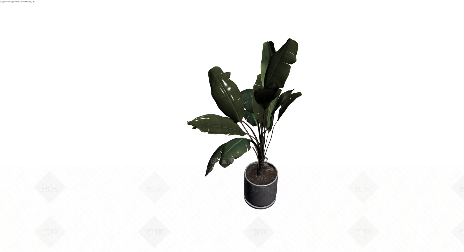 盆栽天堂鸟植物3D模型下载【ID:1229675860】