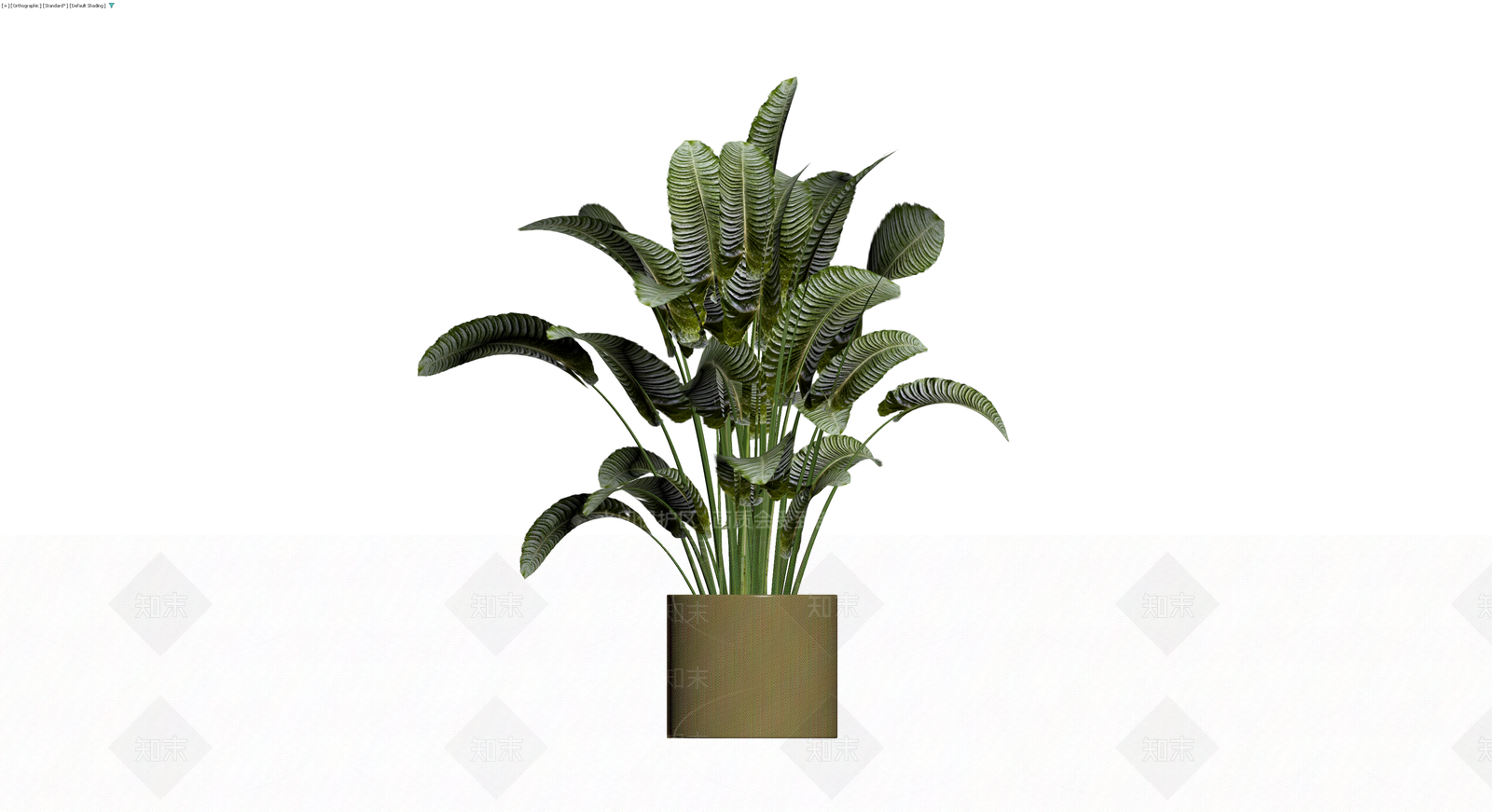 带盆纹理绿植盆栽3D模型下载【ID:1229644324】