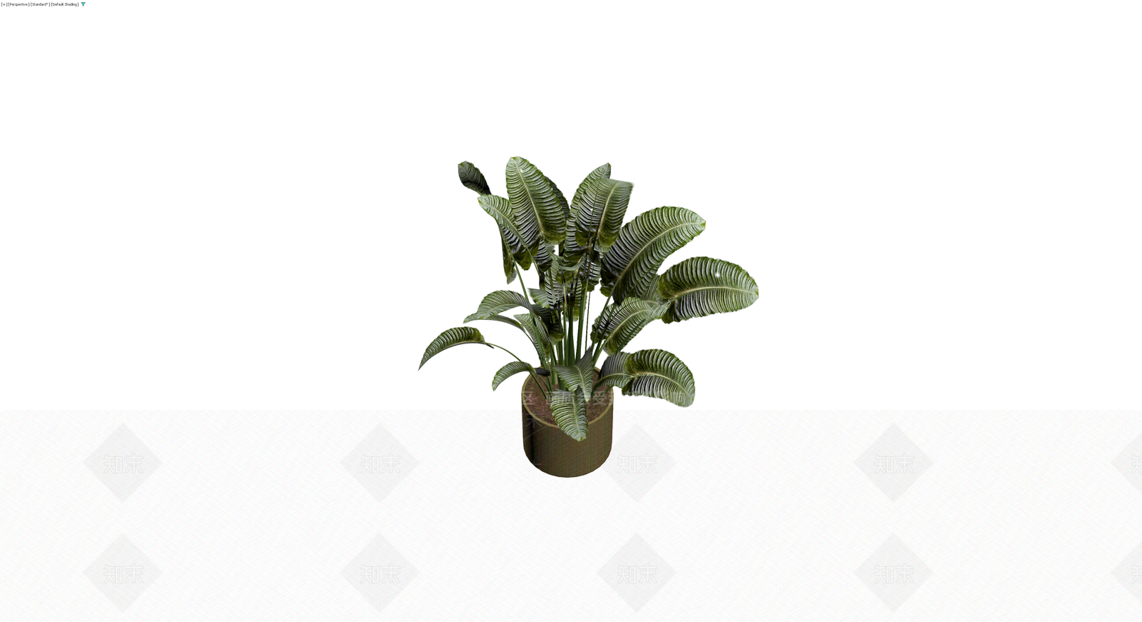带盆纹理绿植盆栽3D模型下载【ID:1229644324】