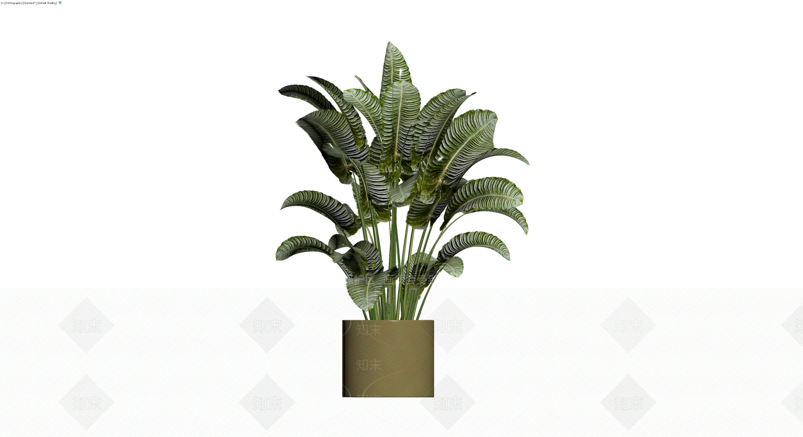 带盆纹理绿植盆栽3D模型下载【ID:1229644324】