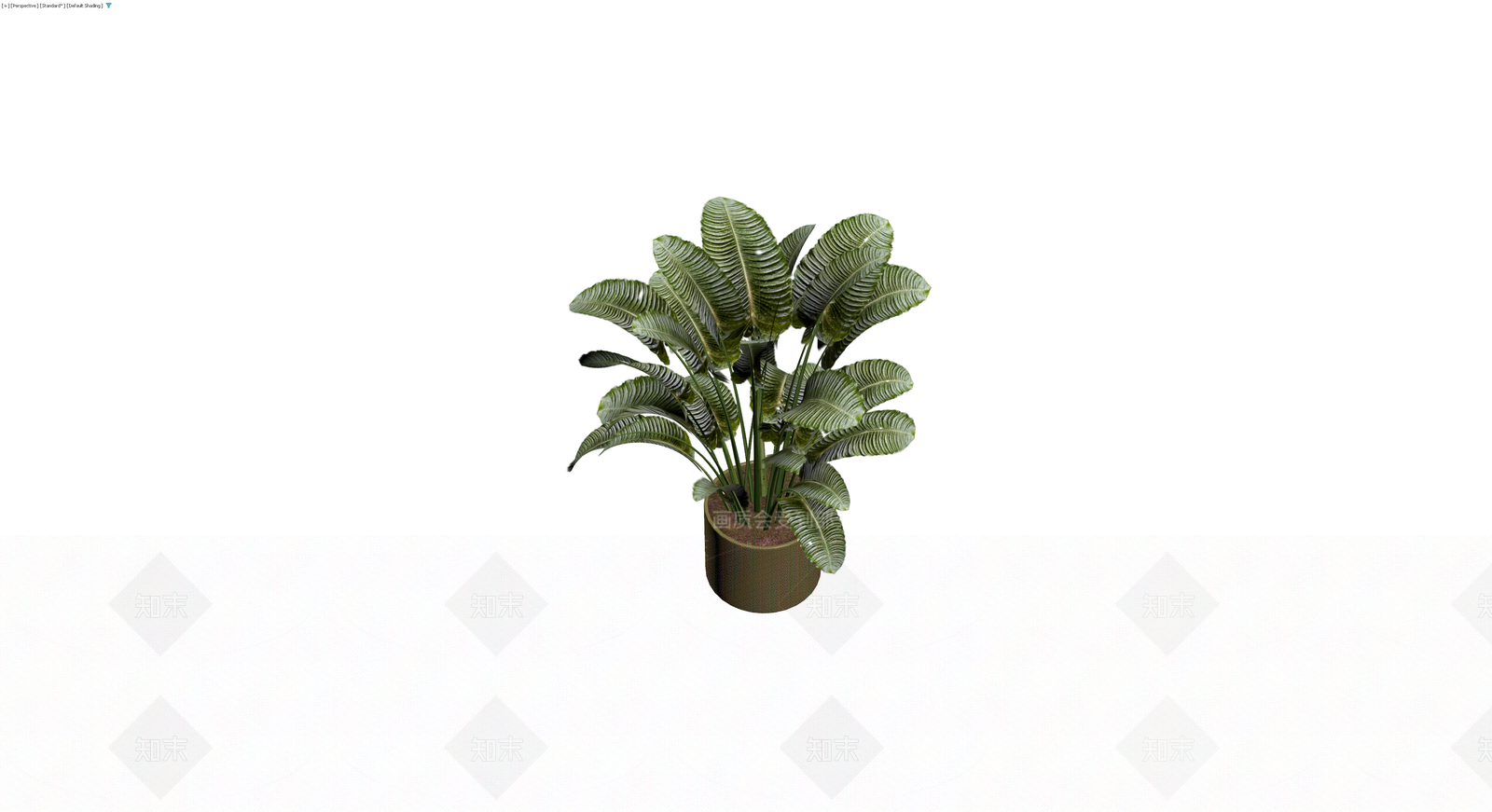 带盆纹理绿植盆栽3D模型下载【ID:1229644324】