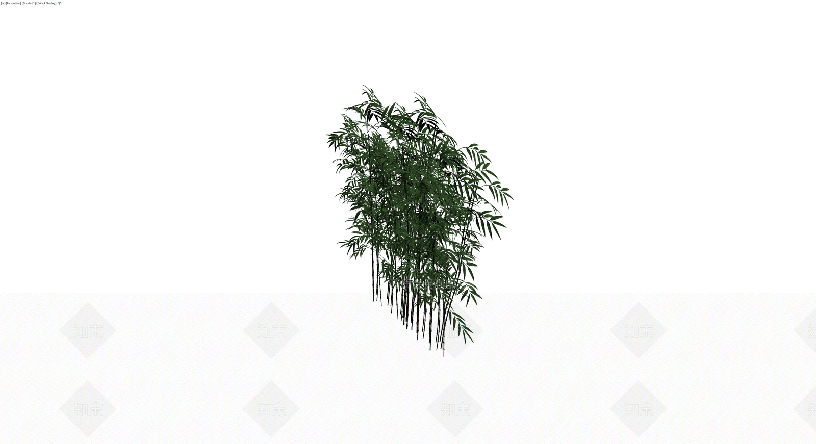 丛生竹林植物模型3D模型下载【ID:1229623750】