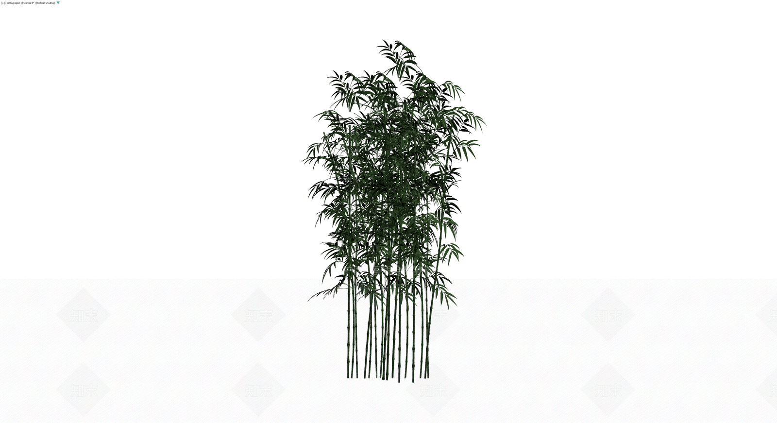 丛生竹林植物模型3D模型下载【ID:1229623750】