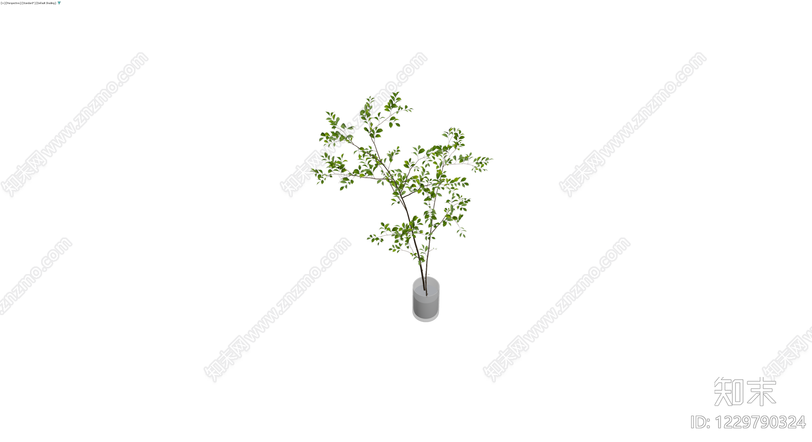 盆栽绿植带盆3D模型下载【ID:1229790324】