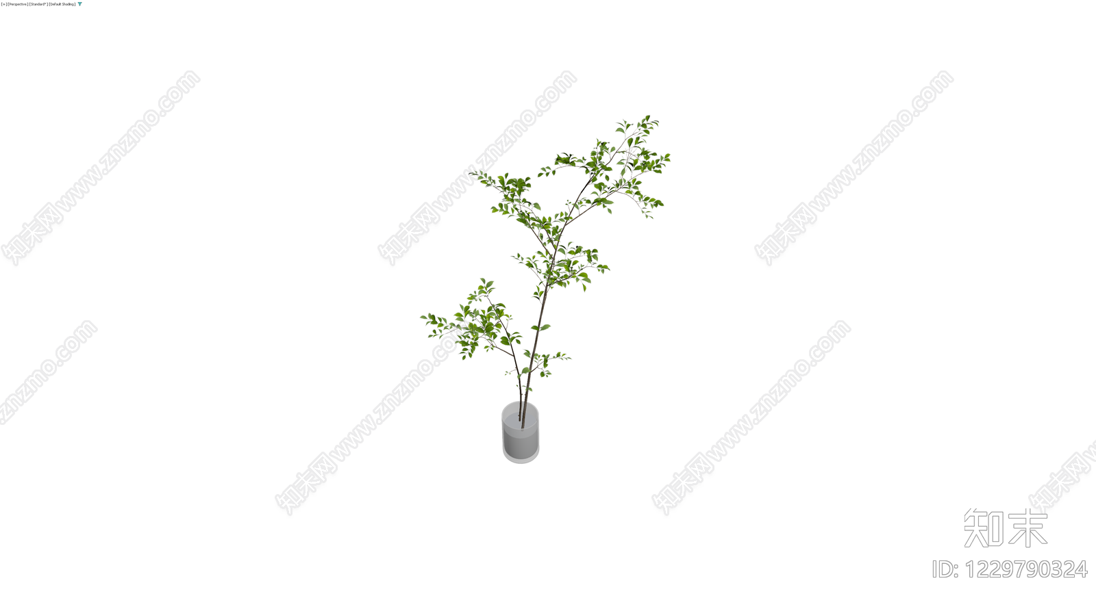 盆栽绿植带盆3D模型下载【ID:1229790324】