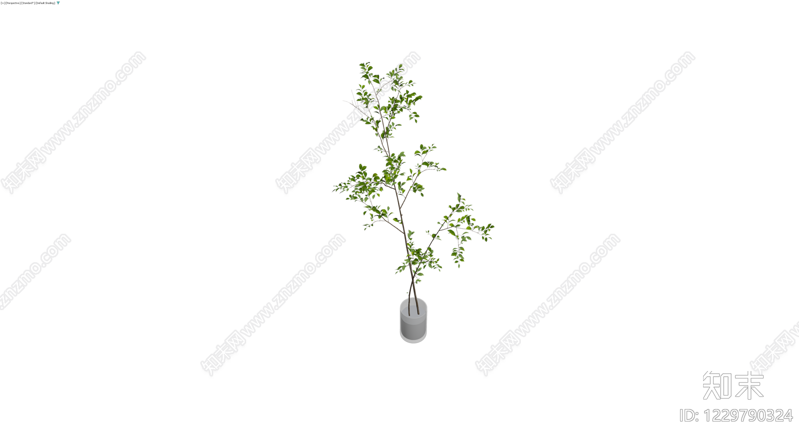 盆栽绿植带盆3D模型下载【ID:1229790324】
