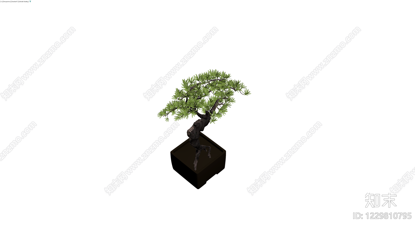 带盆松树盆景模型3D模型下载【ID:1229810795】