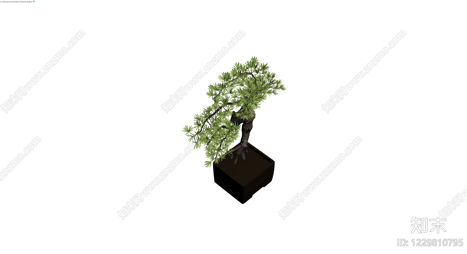 带盆松树盆景模型3D模型下载【ID:1229810795】