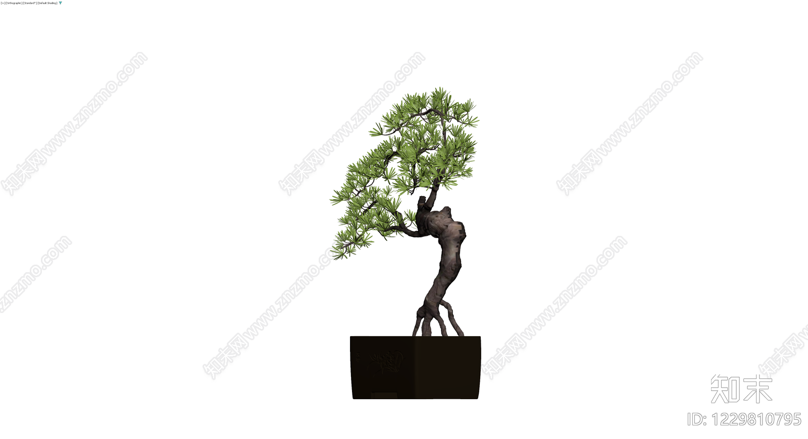 带盆松树盆景模型3D模型下载【ID:1229810795】